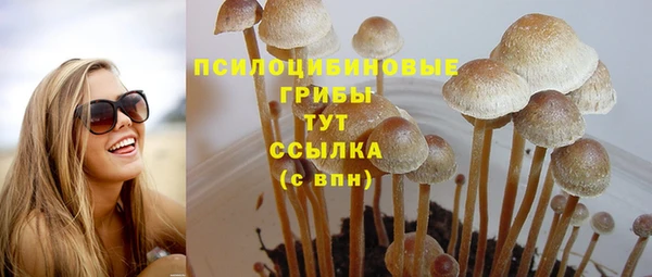 трава Верхний Тагил