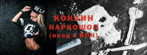 гидра Бородино